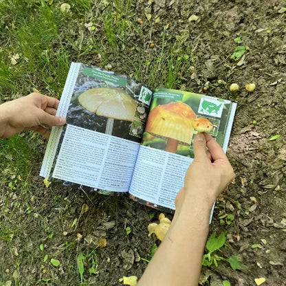 1-2 copies of *The Foragers Guide to Wild Foods*. Identifies wild edibles, has color pages & survival skills.