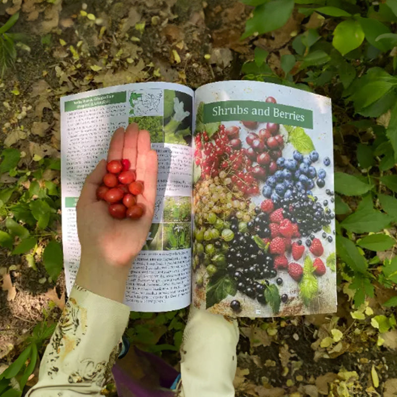 1-2 copies of *The Foragers Guide to Wild Foods*. Identifies wild edibles, has color pages & survival skills.