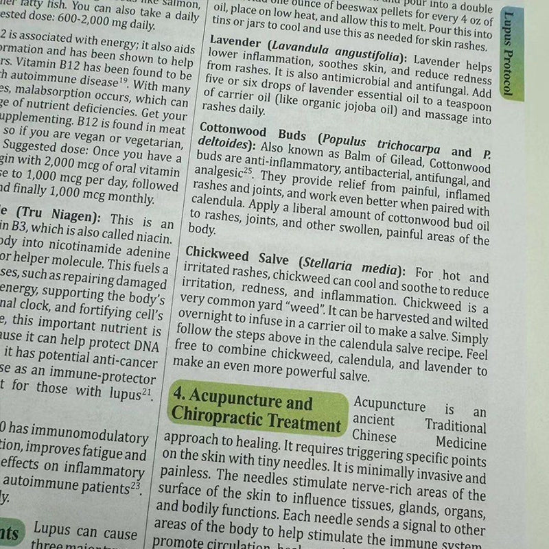 "Holistic Herbal Remedies for Common Ailments: The Lost Book" by Nicole Apelian