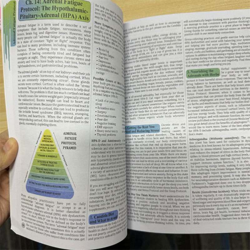 "Holistic Herbal Remedies for Common Ailments: The Lost Book" by Nicole Apelian