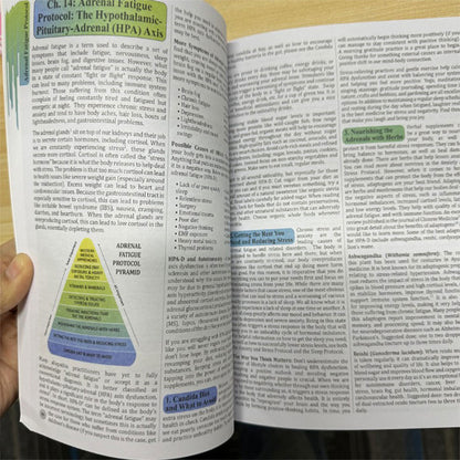 "Holistic Herbal Remedies for Common Ailments: The Lost Book" by Nicole Apelian