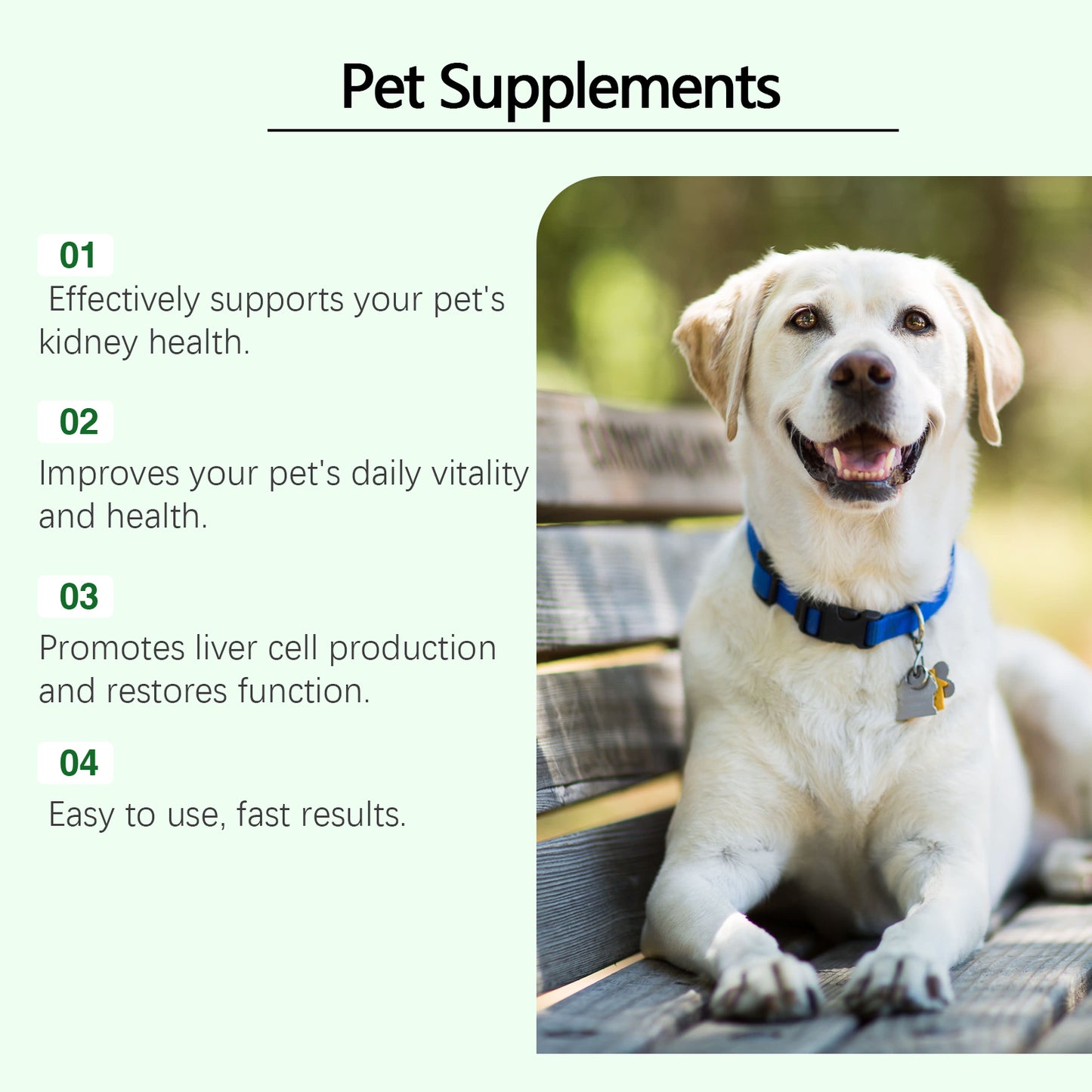 Pet Care Supplement To Enhance The Health Of Pets Gentle Ingredient Care Supplement