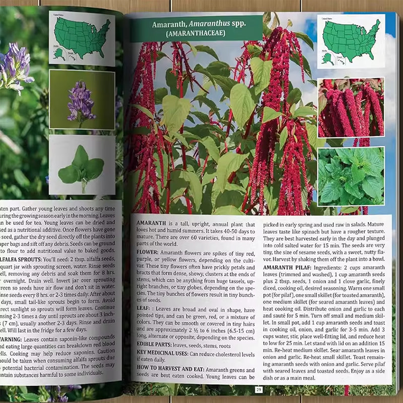 1-2 copies of *The Foragers Guide to Wild Foods*. Identifies wild edibles, has color pages & survival skills.