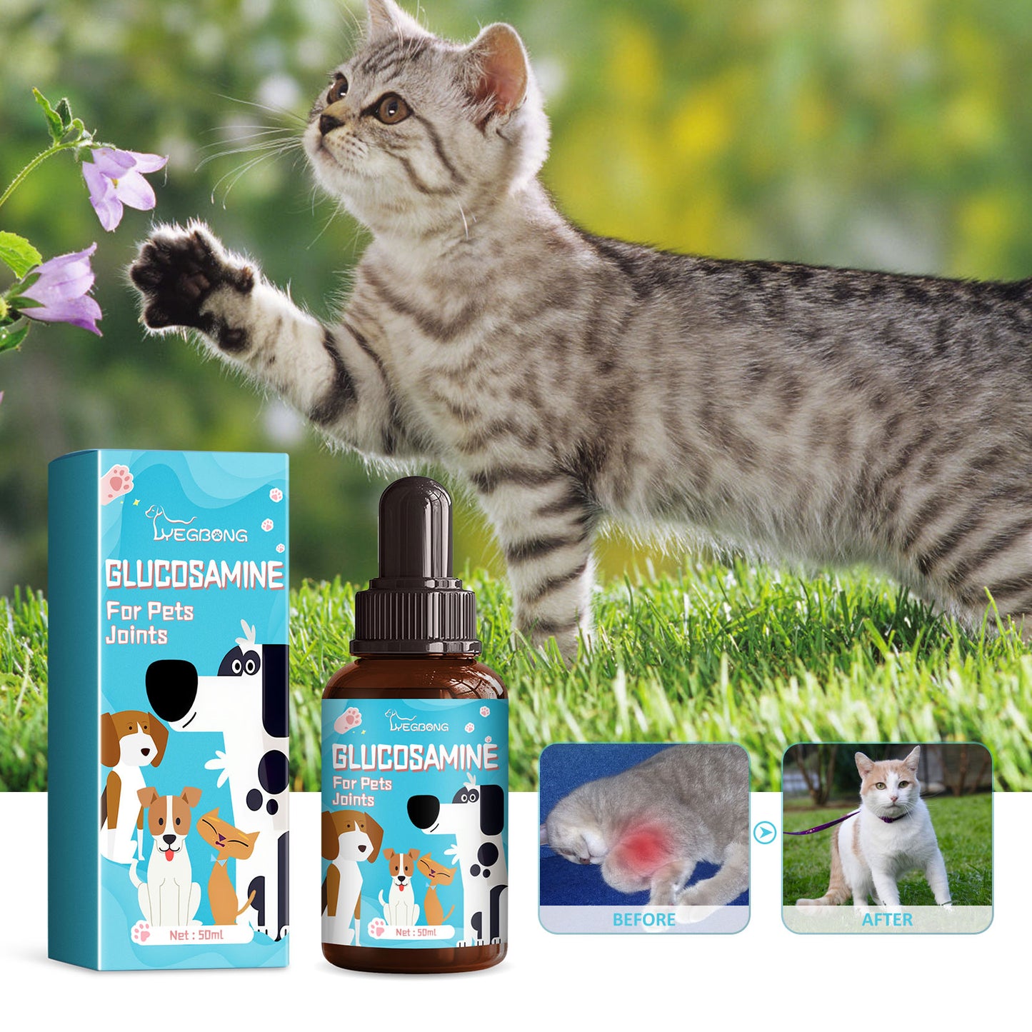 Pet Glucosamine Drops Relieve Pain Of Bones And Joints For Pets Body Care For Cats And Dogs