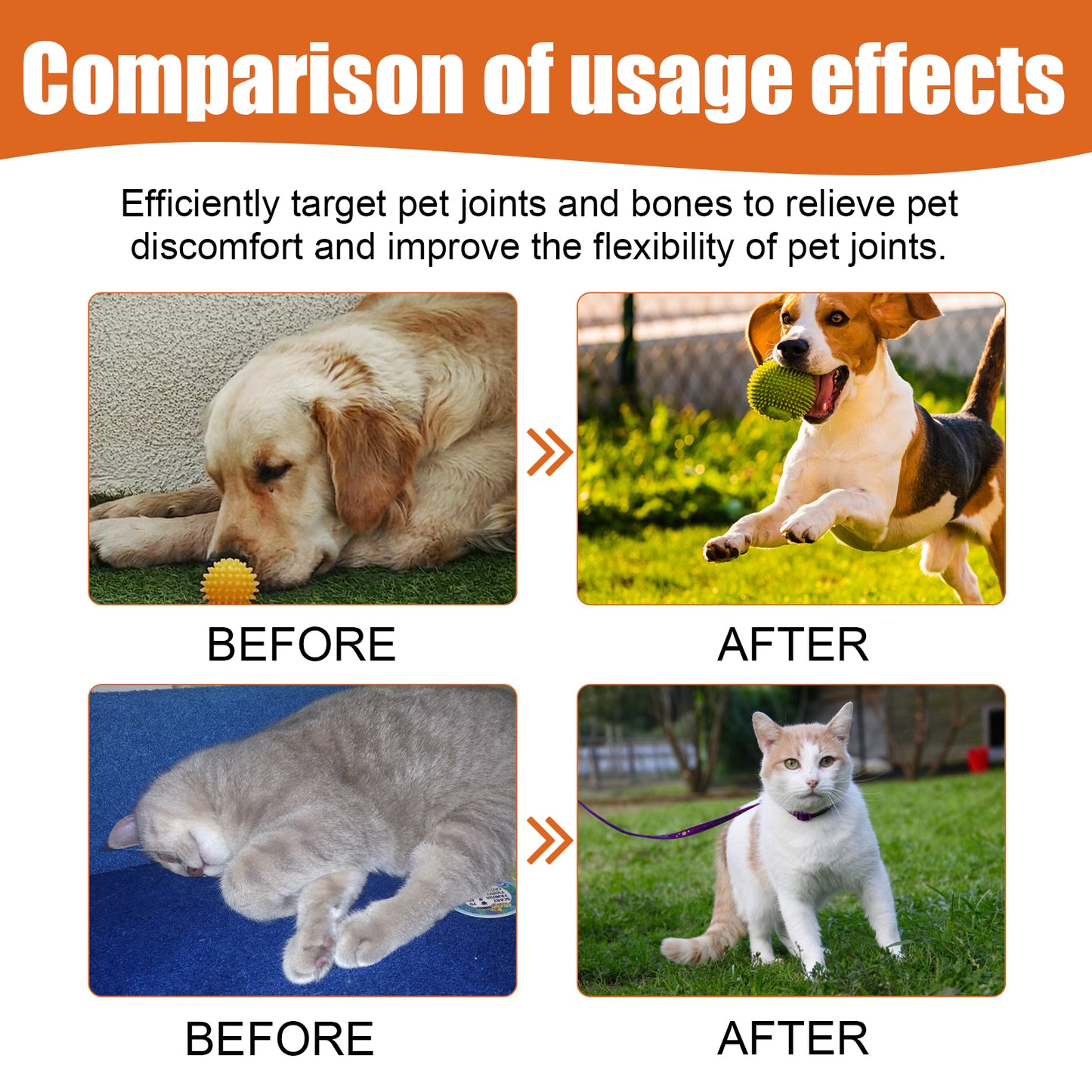 Pet Bee Venom Oil, Joint Care For Cats And Dogs Relieves Joint Pain For Pets Pet Care Water