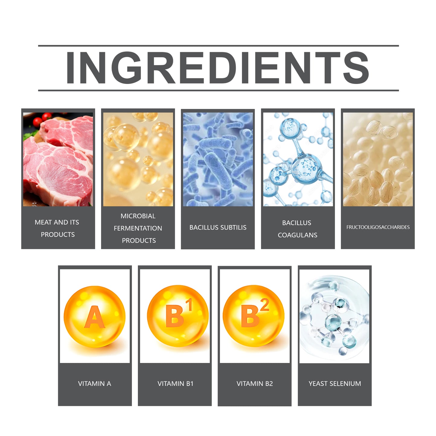 Cats And Dogs General Compound Probiotic Tablets, Pets Absorb Nutrition Supplement Tablets Dog And Cat Nutrition